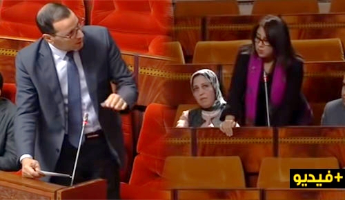 البرلمانية فاطمة سعدي تثير تراجع مردودية تدريس اللغة الأمازيغية