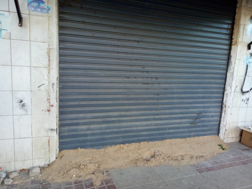 بعد اجتياح الذباب.. سكان أحياء سكنية وسط الناظور يشتكون من غزو الفئران لمنازلهم بأعداد ضخمة بعد اجتياح الذباب.. سكان أحياء سكنية وسط الناظور يشتكون من غزو الفئران لمنازلهم بأعداد ضخمة