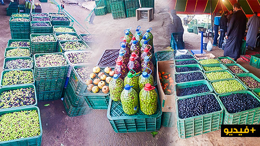 لا تتردوا في زيارته.. الفلاح جحا يعرض عليكم أجود ثمار الزيتون وزيتها للبيع على الطريق الساحلية بمنطقة بوعارك