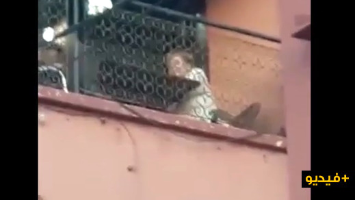 شاهدوا.. أجواء زيارة المستشارة الألمانية "ميركل" لمختلف الأماكن السياحية بمراكش شاهدوا.. أجواء زيارة المستشارة الألمانية "ميركل" لمختلف الأماكن السياحية بمراكش