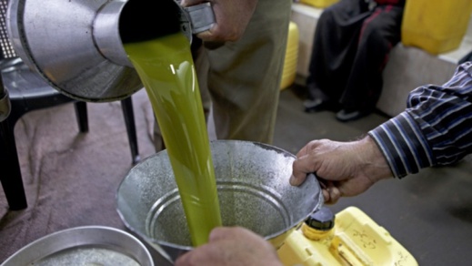 خطير.. تزوير زيت الزيتون في الناظور باستعمال مواد كيميائية والداخلية تأمر بتوقيف الجناة خطير.. تزوير زيت الزيتون في الناظور باستعمال مواد كيميائية والداخلية تأمر بتوقيف الجناة