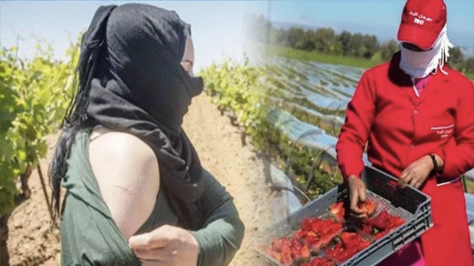 القضاء الإسباني يحفظ ملف الاعتداءات على عاملات مغربيات القضاء الإسباني يحفظ ملف الاعتداءات على عاملات مغربيات