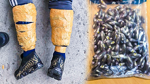 بالصور.. ضبط أزيد من كيلوغرامين من الحشيش ملفوفة حول ساقي مهاجر مغربي بإسبانيا بالصور.. ضبط أزيد من كيلوغرامين من الحشيش ملفوفة حول ساقي مهاجر مغربي بإسبانيا