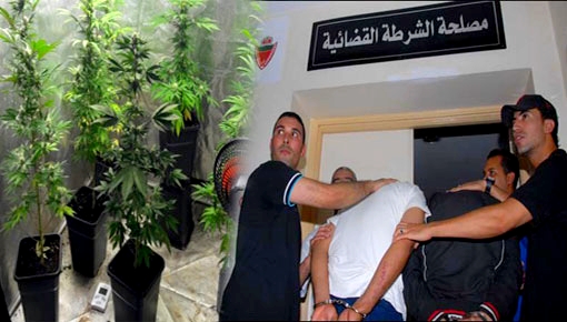 توقيف فرنسيين متورطين في تجارة المخدرات و "القرقوبي" بطريقة مثيرة وسط طنجة توقيف فرنسيين متورطين في تجارة المخدرات و "القرقوبي" بطريقة مثيرة وسط طنجة