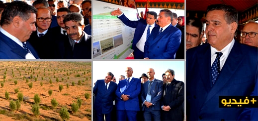 الدريوش.. أخنوش يطلع على حصيلة مشاريع المغرب الأخضر ويعطي انطلاقة مشروع بكلفة 38 مليون درهم بتفرسيت الدريوش.. أخنوش يطلع على حصيلة مشاريع المغرب الأخضر ويعطي انطلاقة مشروع بكلفة 38 مليون درهم بتفرسيت