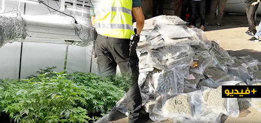 شاهدوا.. مداهمة عناصر الحرس المدني لمزرعتين لإنتاج الحشيش بجنوب إسبانيا