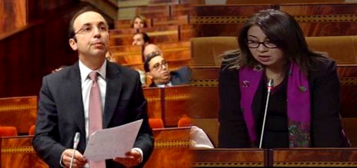 البرلمانية فاطمة السعدي تجر وزير الصحة للمساءلة حول انتشار أنفلونزا الخنازير