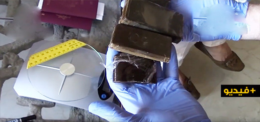 بالفيديو.. توقيف 14 شخصا ومصادر نحو 3.5 طن من الحشيش خلال تفكيك شبكة لترويج المخدرات بالفيديو.. توقيف 14 شخصا ومصادر نحو 3.5 طن من الحشيش خلال تفكيك شبكة لترويج المخدرات