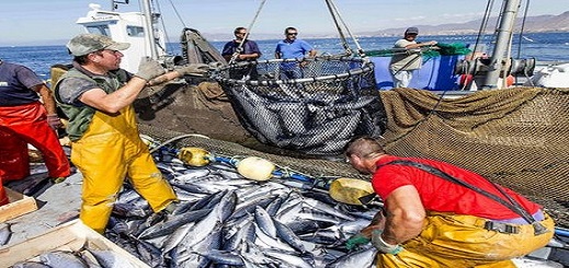 المغرب يطلق مسلسل التصديق على اتفاقية الصيد البحري مع الاتحاد الأوروبي لدخولها حيز التنفيذ