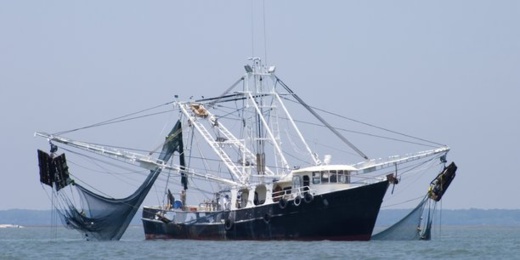 الاتحاد الأوروبي يصادق على القرار المتعلق بالتوقيع على اتفاق الشراكة في مجال الصيد البحري المستدام مع المغرب