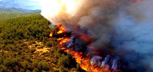 الحرائق تكبد إقليم الحسيمة خسارة 38 هكتارا من الغطاء الغابوي
