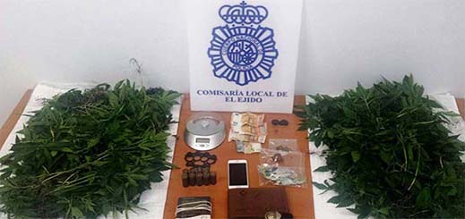 بالصور.. توقيف شخصين ينتجان الحشيش داخل منزلهما ضواحي ألميريا بالصور.. توقيف شخصين ينتجان الحشيش داخل منزلهما ضواحي ألميريا
