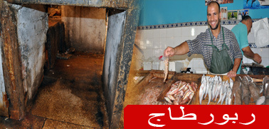 سوق السمك بالمركب التجاري بالناظور بين مطرقة الرواج التجاري وسندان الوضع الفوضوي الكارثي سوق السمك بالمركب التجاري بالناظور بين مطرقة الرواج التجاري وسندان الوضع الفوضوي الكارثي