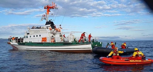 بعثة علمية تحل بسواحل الحسيمة لدراسة سلوك "النيكرو" من أجل إنهاء معاناة الصيادين