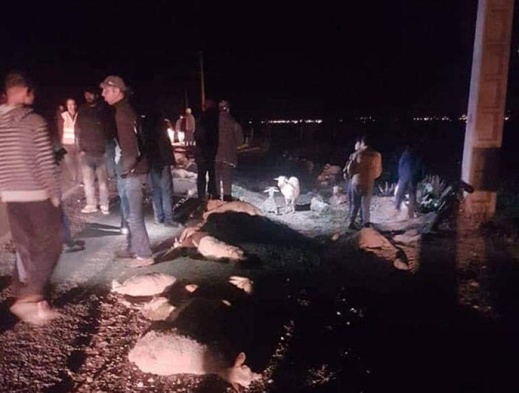 حادثة سير على الطريق المؤدية إلى زايو تتسبب في مقتل عشرات الأغنام 