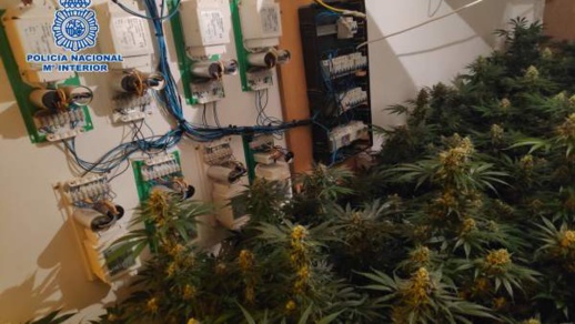 بالصور.. إعتقال إسباني يسرق الكهرباء لأنتاج "الحشيش" داخل منزله بالصور.. إعتقال إسباني يسرق الكهرباء لأنتاج "الحشيش" داخل منزله