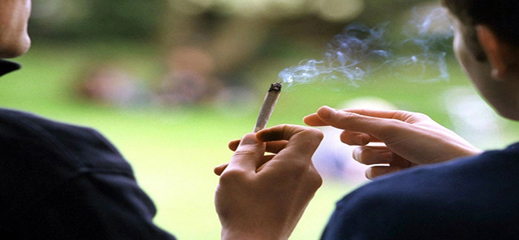 دراسة: الحشيش يساهم في علاج امراض المفاصل