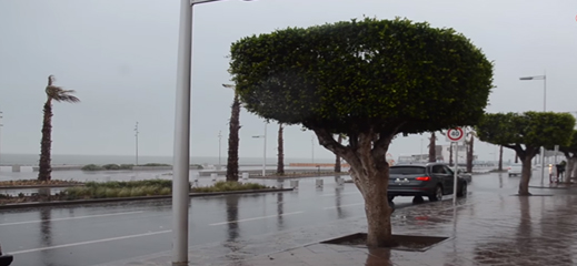 هذه هي نسبة التساقطات المطرية التي سجلتها الناظور والحسيمة امس الخميس هذه هي نسبة التساقطات المطرية التي سجلتها الناظور والحسيمة امس الخميس