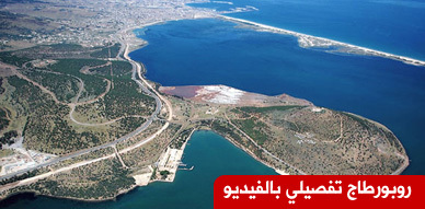 مارتشيكا.. حلم الناظور الذي تحول الى حقيقة مارتشيكا.. حلم الناظور الذي تحول الى حقيقة