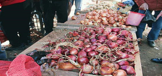 أسعار البصل تواصل الإرتفاع في الأسواق المحلية وتتجاوز أثمان التفاح و الموز‎