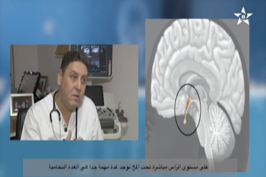 الدكتور أحمد عالوش يشرح جهاز الغدد.. أنواعه وأدواره الدكتور أحمد عالوش يشرح جهاز الغدد.. أنواعه وأدواره