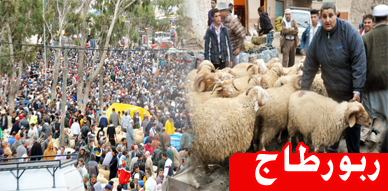 السوق الأسبوعي بأزغنغان يسجل تقاسم الكسابين والمواطنين لهموم إرتفاع أسعار أضاحي العيد والمواد العلفية السوق الأسبوعي بأزغنغان يسجل تقاسم الكسابين والمواطنين لهموم إرتفاع أسعار أضاحي العيد والمواد العلفية