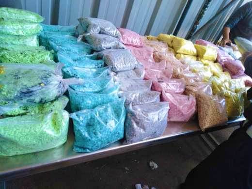 كلاب الشرطة المدربة تحبط عملية إجرامية كانت ستغرق مدن الشمال بالاكستازي كلاب الشرطة المدربة تحبط عملية إجرامية كانت ستغرق مدن الشمال بالاكستازي