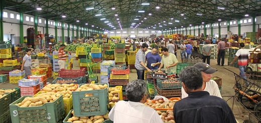 المغرب أول مورّد للفواكه والخضراوات لإسبانيا خلال الشطر الأول من السنة الجارية المغرب أول مورّد للفواكه والخضراوات لإسبانيا خلال الشطر الأول من السنة الجارية