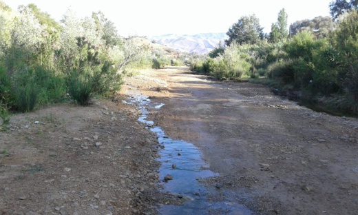 قلة التساقطات المطرية وإرتفاع درجات الحرارة تتسبب في تراجع مياه أكبر وادي بإقليم الدريوش