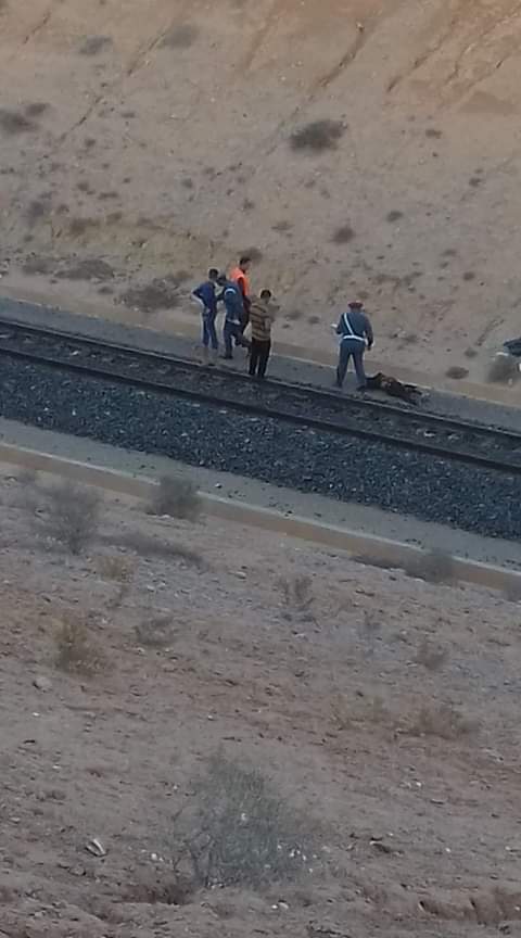 مفجع.. قطار يحوّل جسد شابّ إلى أشلاء متناثرة بمنطقة "صاكا" بعد انطلاقه من الناظور مفجع.. قطار يحوّل جسد شابّ إلى أشلاء متناثرة بمنطقة "صاكا" بعد انطلاقه من الناظور