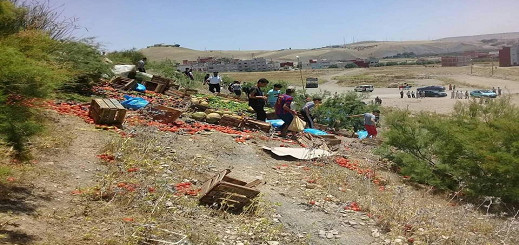 شاهدوا بالفيديو.. انقلاب شاحنة محملة بالخضر والفواكه كانت قادمة الى الناظور وحمولتها تتعرض للنهب