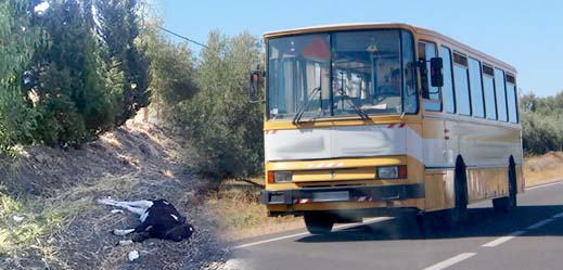 ارتطام حافلة تقل مسافرين من الناظور بـ"عجل" نواحي طنجة تثير استياء عارما بعد تعطيل مصالحهم ارتطام حافلة تقل مسافرين من الناظور بـ"عجل" نواحي طنجة تثير استياء عارما بعد تعطيل مصالحهم