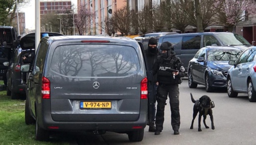 القضاء الهولندي يصدر أحكاما بالسجن على أسرة مغربية تتاجر في الكوكايين القضاء الهولندي يصدر أحكاما بالسجن على أسرة مغربية تتاجر في الكوكايين