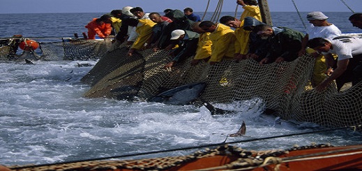 لجنة الخارجية تصادق بالإجماع على إتفاق الصيد البحري مع الاتحاد الأوروبي لجنة الخارجية تصادق بالإجماع على إتفاق الصيد البحري مع الاتحاد الأوروبي