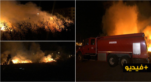 الوقاية المدنية تتدخل لمحاصرة نيران اندلعت بالقرب من منطقة سكنية بالناظور الوقاية المدنية تتدخل لمحاصرة نيران اندلعت بالقرب من منطقة سكنية بالناظور