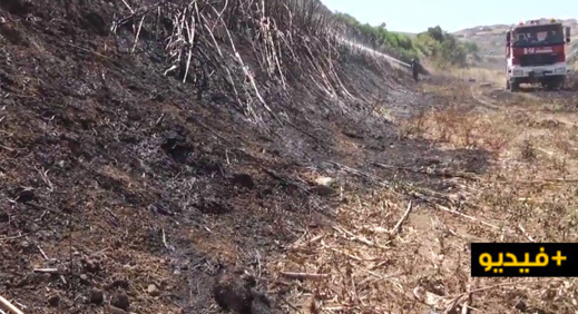 حريق غابوي بالقرب من فرخانة يستنفر السلطات الاسبانية بمليلية حريق غابوي بالقرب من فرخانة يستنفر السلطات الاسبانية بمليلية