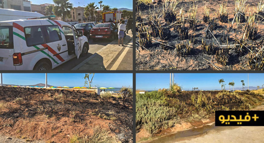 اندلاع حريق مهول يأتي على مساحة هامة من حدائق كورنيش الناظور وسط استنفار الأمن والمطافئ اندلاع حريق مهول يأتي على مساحة هامة من حدائق كورنيش الناظور وسط استنفار الأمن والمطافئ