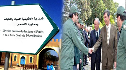 تفويت محميات وأراضي غابوية بالدريوش تضع المدير الإقليمي للمياه والغابات وموظف في قفص الاتهام تفويت محميات وأراضي غابوية بالدريوش تضع المدير الإقليمي للمياه والغابات وموظف في قفص الاتهام