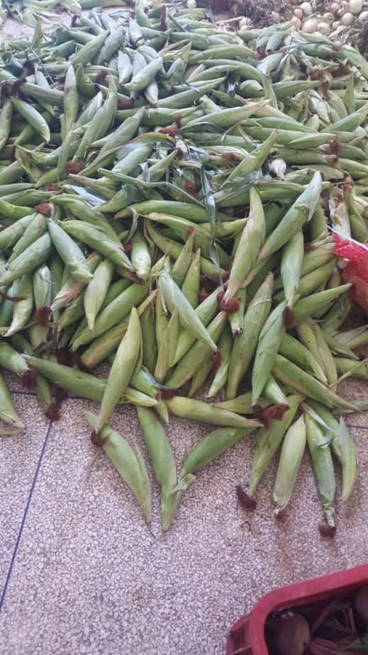 قيادة جماعة بوعرك تشن حملة واسعة على مستغلي الملك العمومي قيادة جماعة بوعرك تشن حملة واسعة على مستغلي الملك العمومي