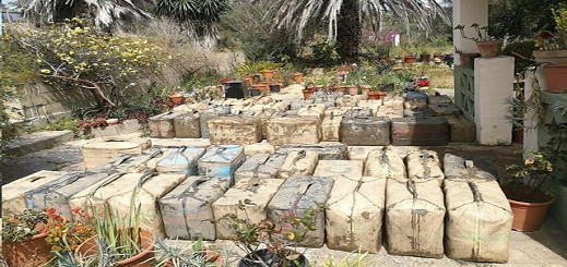 توقيف 29 شخصا وحجز أكثر من طنين من الحشيش خلال تفكيك شبكة لتهريب الحشيش من شمال المغرب توقيف 29 شخصا وحجز أكثر من طنين من الحشيش خلال تفكيك شبكة لتهريب الحشيش من شمال المغرب