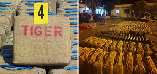 ابتدائية الناظور تدين المتورطين في حيازة 12 طنا من الحشيش بـ"إعزانن" بـ سنوات سجنا 10 لكل متهم ابتدائية الناظور تدين المتورطين في حيازة 12 طنا من الحشيش بـ"إعزانن" بـ سنوات سجنا 10 لكل متهم