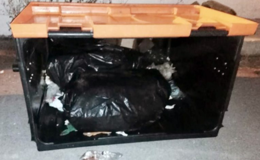 توقيف سائق شاحنة لنقل النفايات ومساعده أدخلا 250 كلغ من الحشيش داخل أكياس النفايات الى الميناء توقيف سائق شاحنة لنقل النفايات ومساعده أدخلا 250 كلغ من الحشيش داخل أكياس النفايات الى الميناء