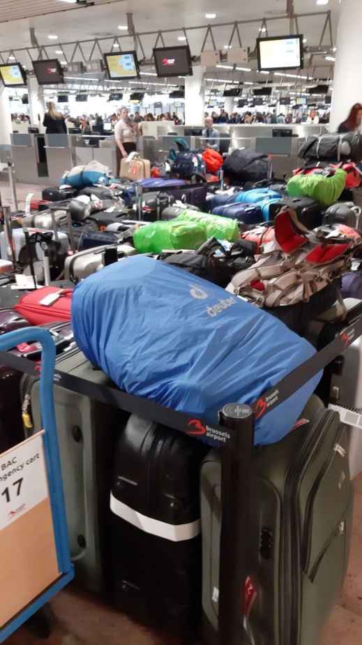 بينها رحلات قادمة الى المغرب.. تأخر 50 رحلة جوية بسبب تكدس المئات من الحقائب بمطار بروكسل زافنتيم بينها رحلات قادمة الى المغرب.. تأخر 50 رحلة جوية بسبب تكدس المئات من الحقائب بمطار بروكسل زافنتيم