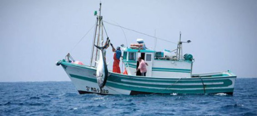 اسبانيا تعبر عن ارتياحها للمصادقة على اتفاقية الصيد البحري بين المغرب والاتحاد الاوروبي اسبانيا تعبر عن ارتياحها للمصادقة على اتفاقية الصيد البحري بين المغرب والاتحاد الاوروبي