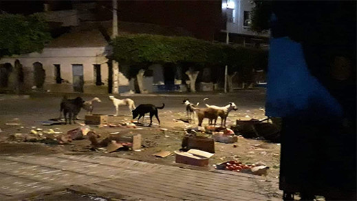 كارثة تتكرر كل أسبوع.. بائعو الخضر يحولون الشارع الرئيسي بسلوان لكومة أزبال والسلطات في سبات عميق 