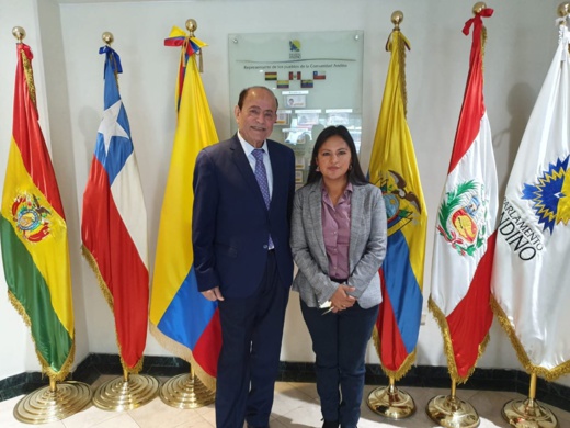 سلامة يتباحث مع ممثلة بوليفيا سبل تعزيز التعاون جنوب جنوب بين المغرب وبلدان البرلمان الأنديني سلامة يتباحث مع ممثلة بوليفيا سبل تعزيز التعاون جنوب جنوب بين المغرب وبلدان البرلمان الأنديني