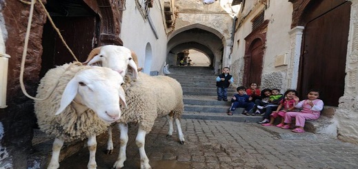 علماء فلكيون يكشفون موعد عيد الأضحى بالمغرب علماء فلكيون يكشفون موعد عيد الأضحى بالمغرب
