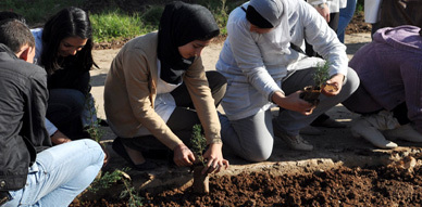 نادي ثوذاث يشرف على عملية غرس الأشجار بثانوية الشريف محمد أمزيان بالناظور نادي ثوذاث يشرف على عملية غرس الأشجار بثانوية الشريف محمد أمزيان بالناظور