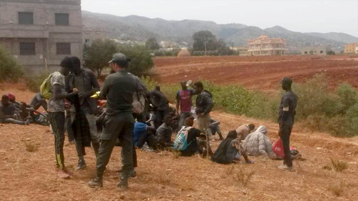 توقيف 172 مهاجرا سريا ضمنهم نساء بسواحل الدريوش توقيف 172 مهاجرا سريا ضمنهم نساء بسواحل الدريوش