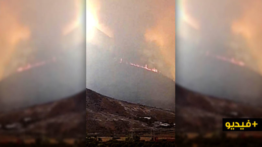 الدريوش.. اندلاع حريق بالمجال الغابوي لجماعة تفرسيت وحديث عن الاستعانة بطائرات لإخمادها الدريوش.. اندلاع حريق بالمجال الغابوي لجماعة تفرسيت وحديث عن الاستعانة بطائرات لإخمادها